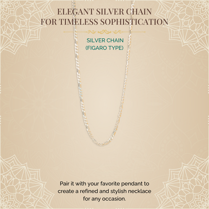 Silver Chain (Figaro Type)