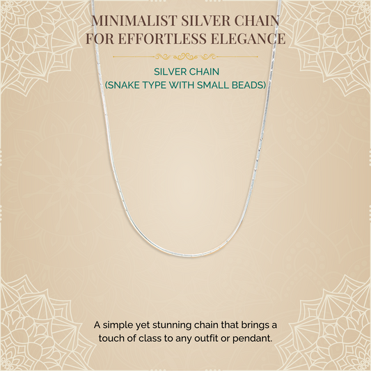 Silver Chain (Snake Type)